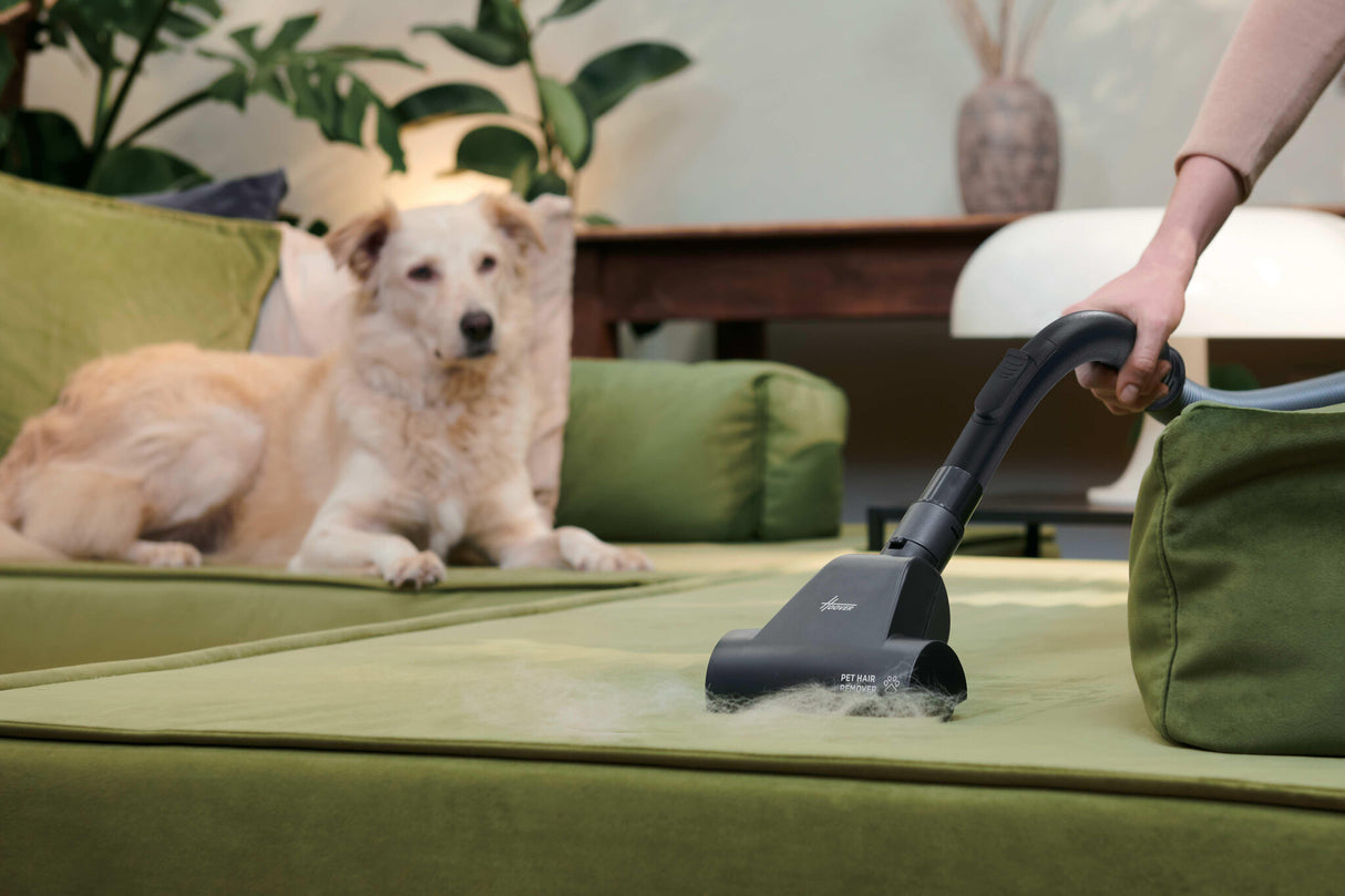 Hoover HP210P 011 2,5 L Beholder vakuum Dry 800 W Poseløs
