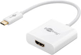 goobay Ekstern videoadapter