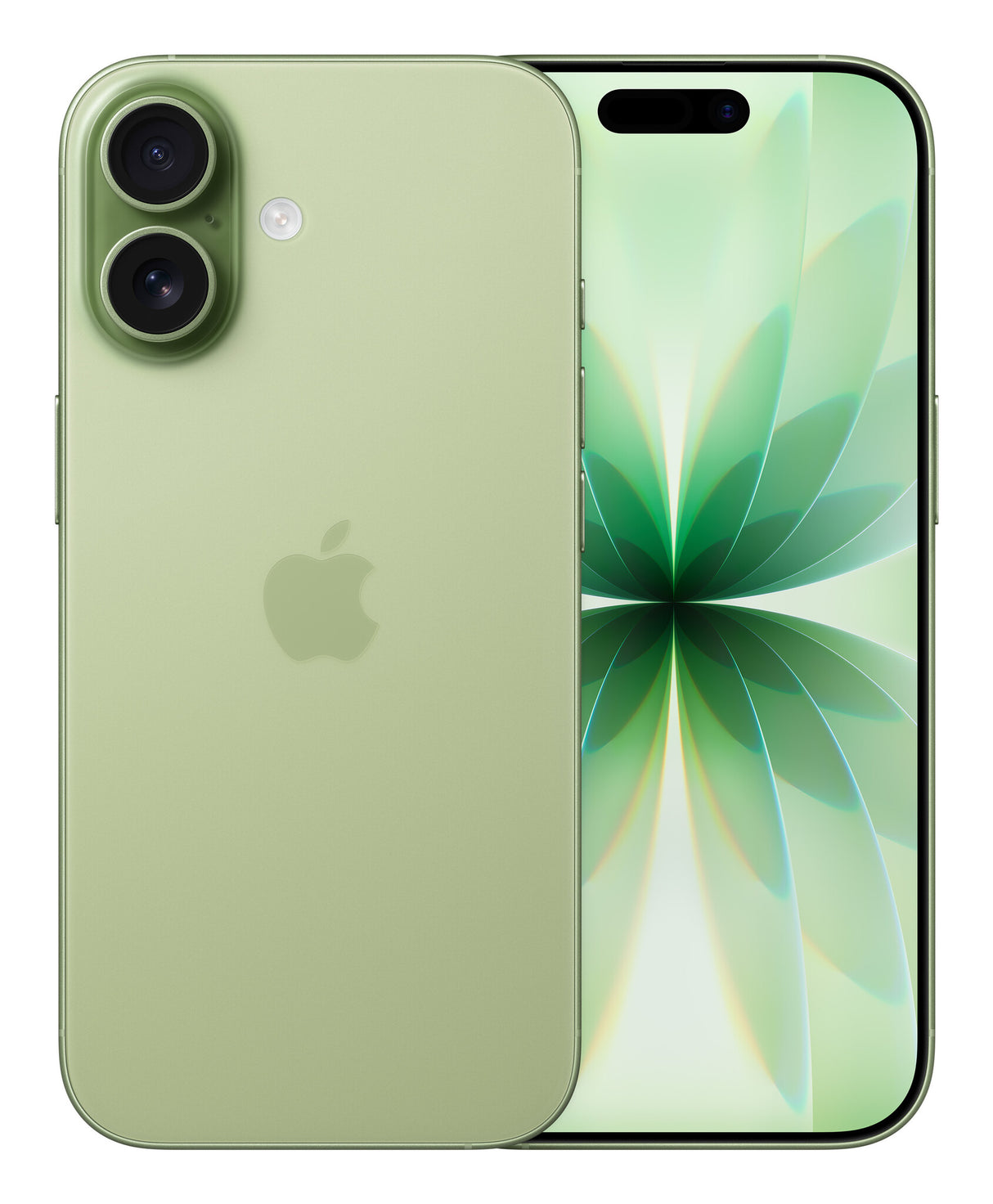 Apple iPhone 17 16 cm (6.3") Dual SIM iOS 26 5G USB Type-C 256 GB Salvie
