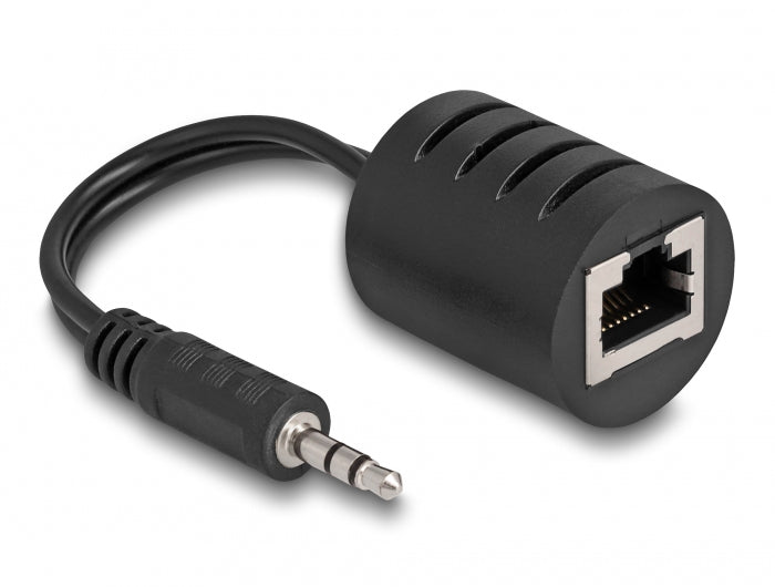 Delock Lyd adapter Sort
