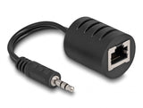 Delock Lyd adapter Sort