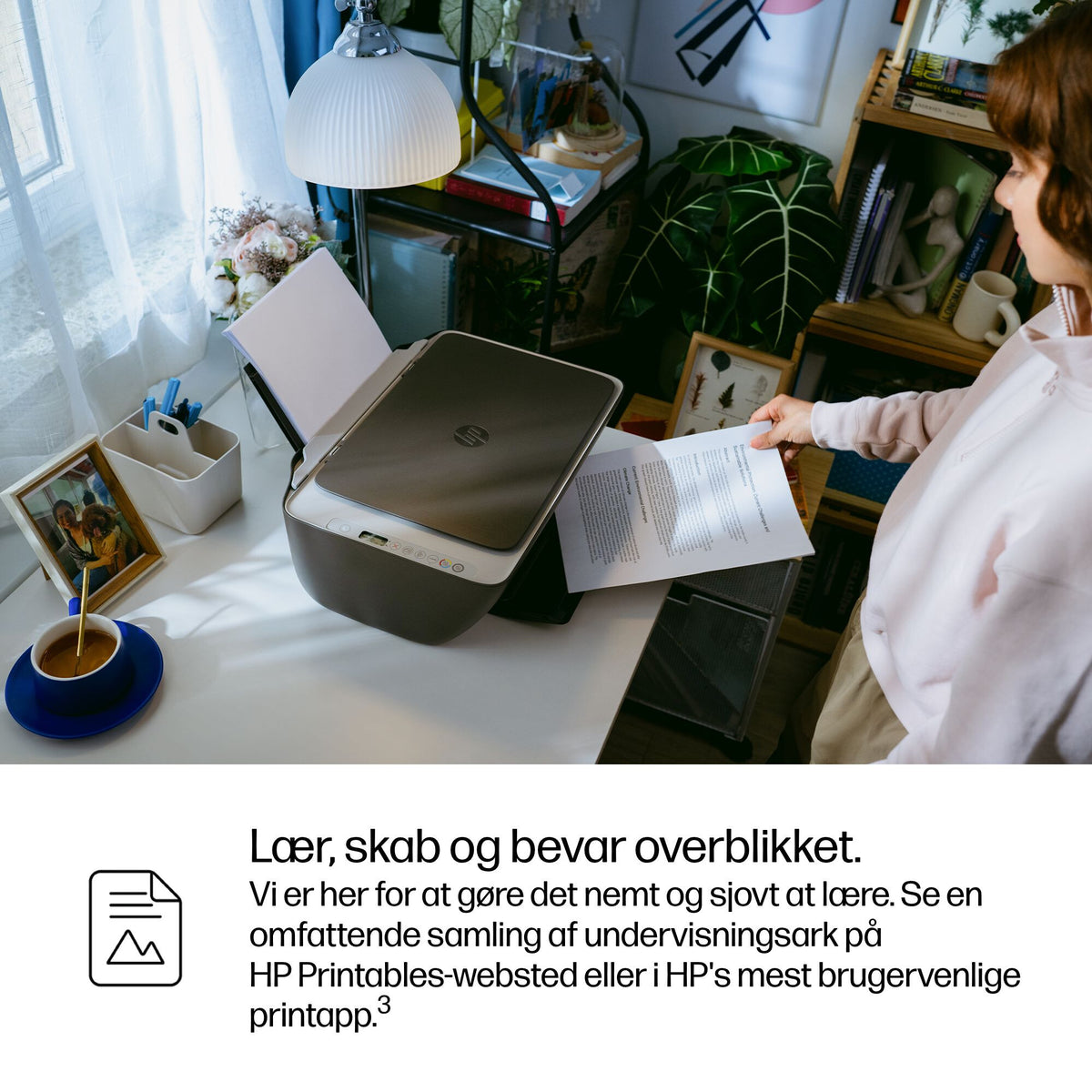 HP Deskjet 2910 All-in-One Blækprinter