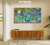 Hisense 55S7NQ 55 Canvas TV 4K UHD (2160p) Teak