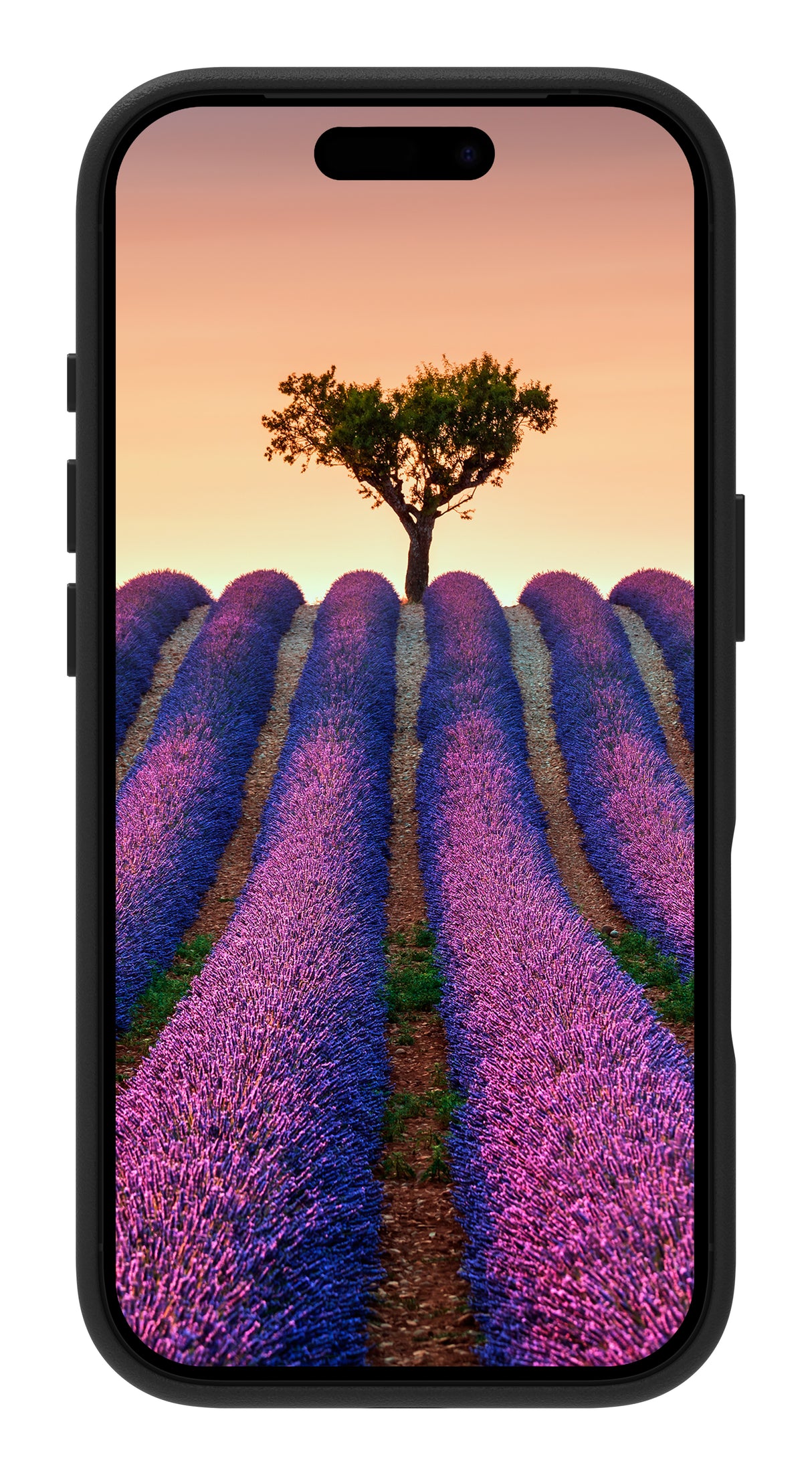 Dbramante iPhone 17 Pro Roskilde lædercover - Black