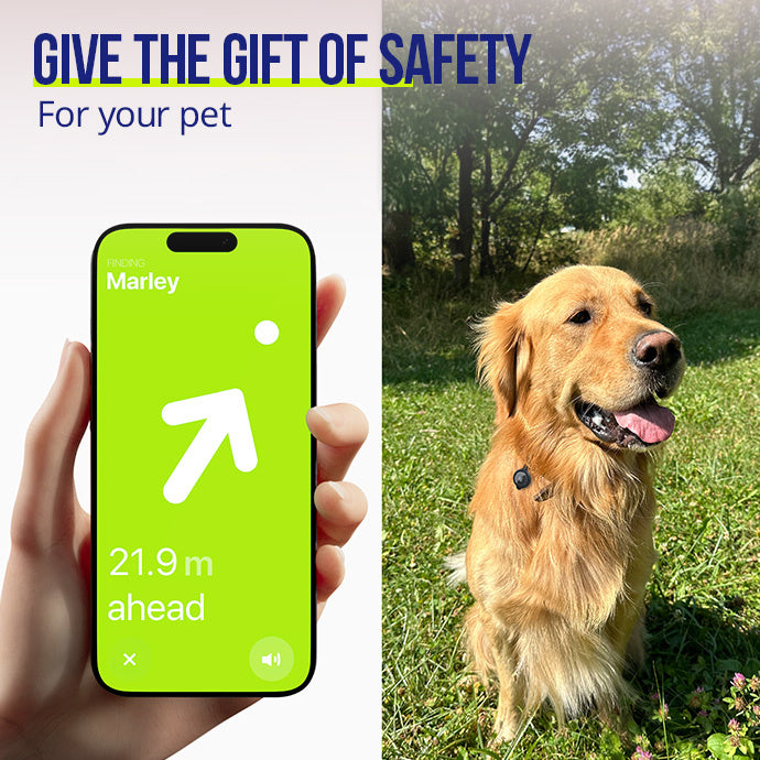 Allity AirTag case 3pcs ASA-300