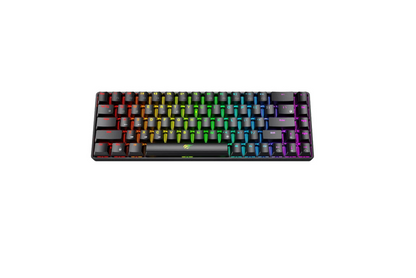 Havit GAMENOTE KB860L Tastatur Mekanisk RGB Trådløs Kabling