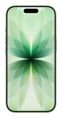 Apple iPhone 17 16 cm (6.3") Dual SIM iOS 26 5G USB Type-C 256 GB Sage