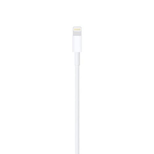 Apple Lightning to USB Cable (1m)