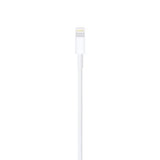 Apple Lightning to USB Cable (1m)