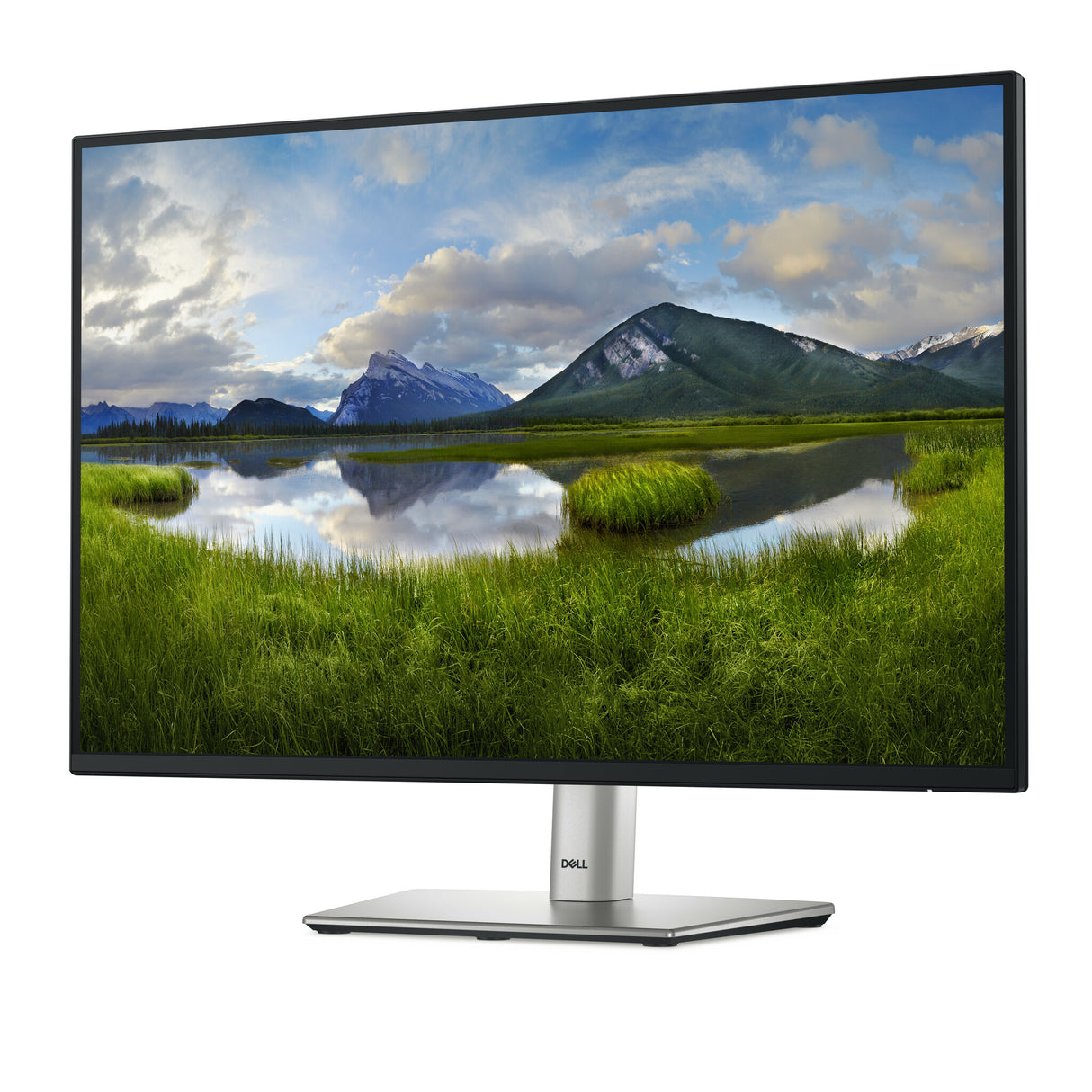 DELL Pro Plus P2425E computerskærm 61,1 cm (24.1") 1920 x 1200 pixel WUXGA LCD Sort