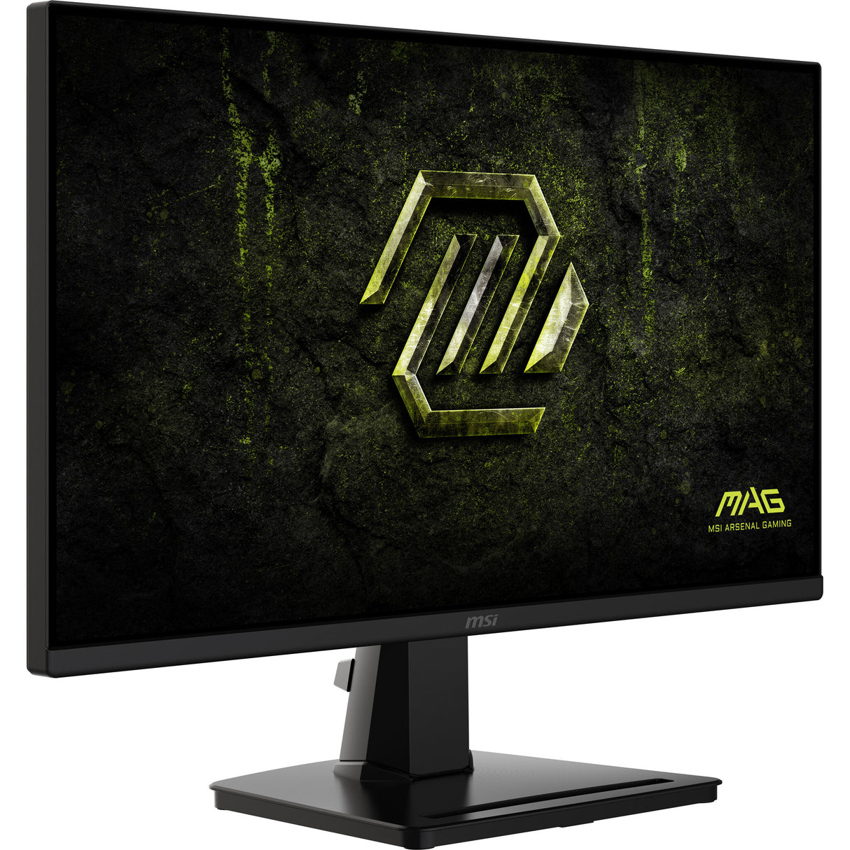 MSI MAG 256F E20 computerskærm 62,2 cm (24.5") 1920 x 1080 pixel Fuld HD LCD Sort