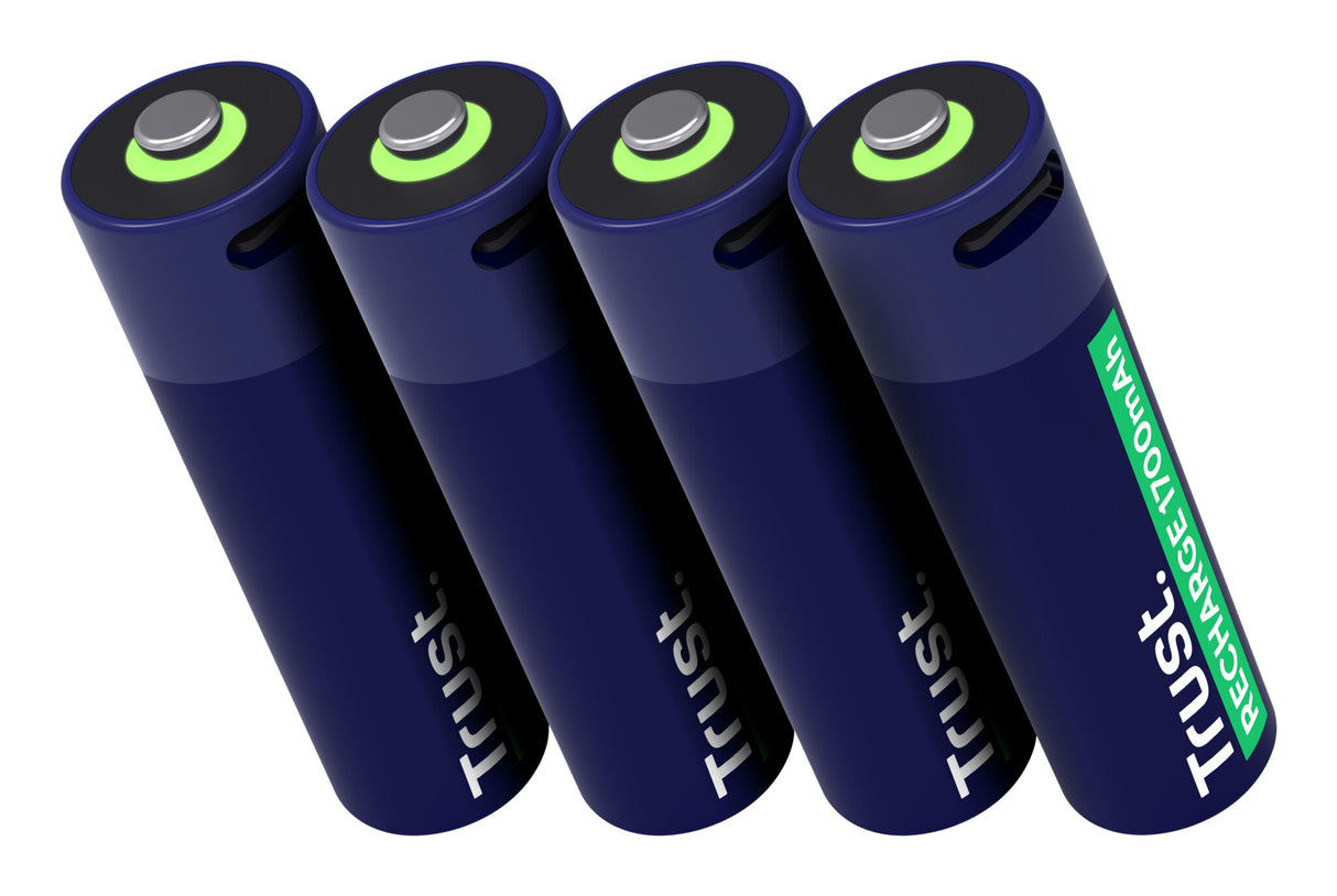 Trust 25631 husholdningsbatteri Genopladeligt batteri AA