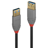 Lindy 36762 USB-kabel USB 3.2 Gen 1 (3.1 Gen 1) 2 m USB A 5 Gbit/sek. Sort