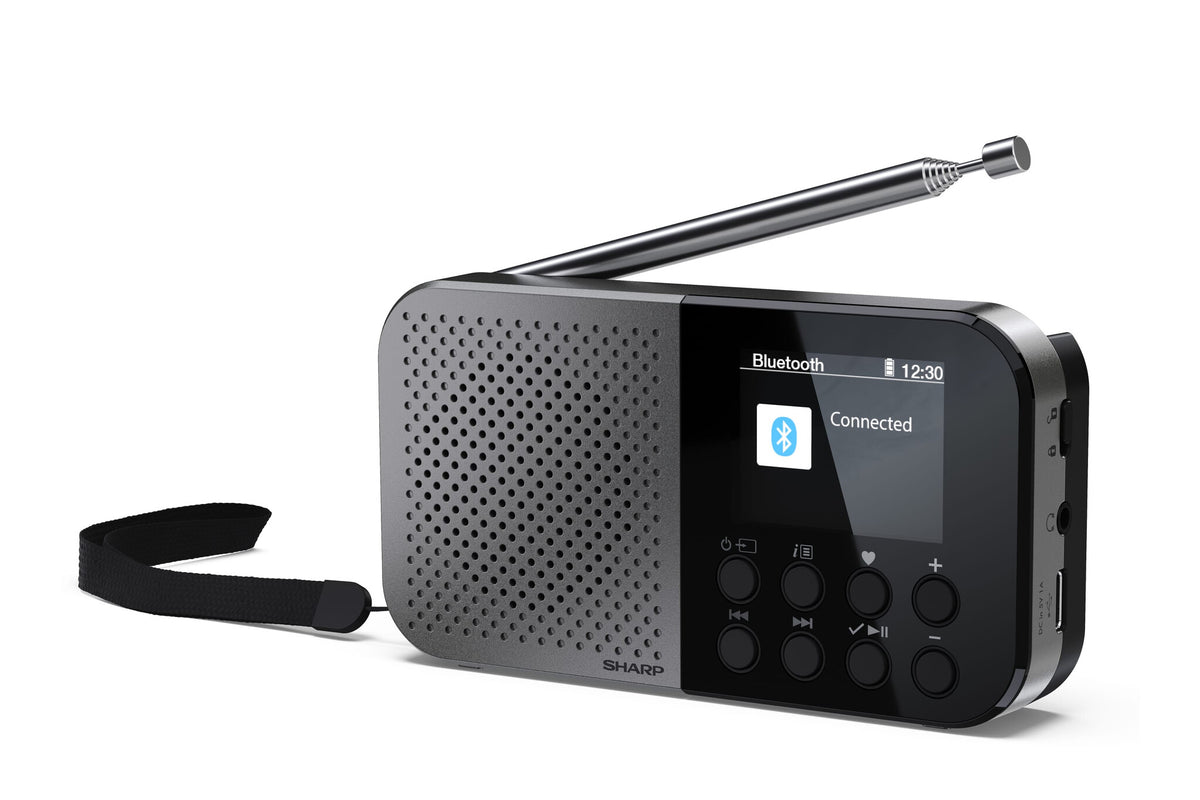 Sharp DR-P520 Personal Digital Grey