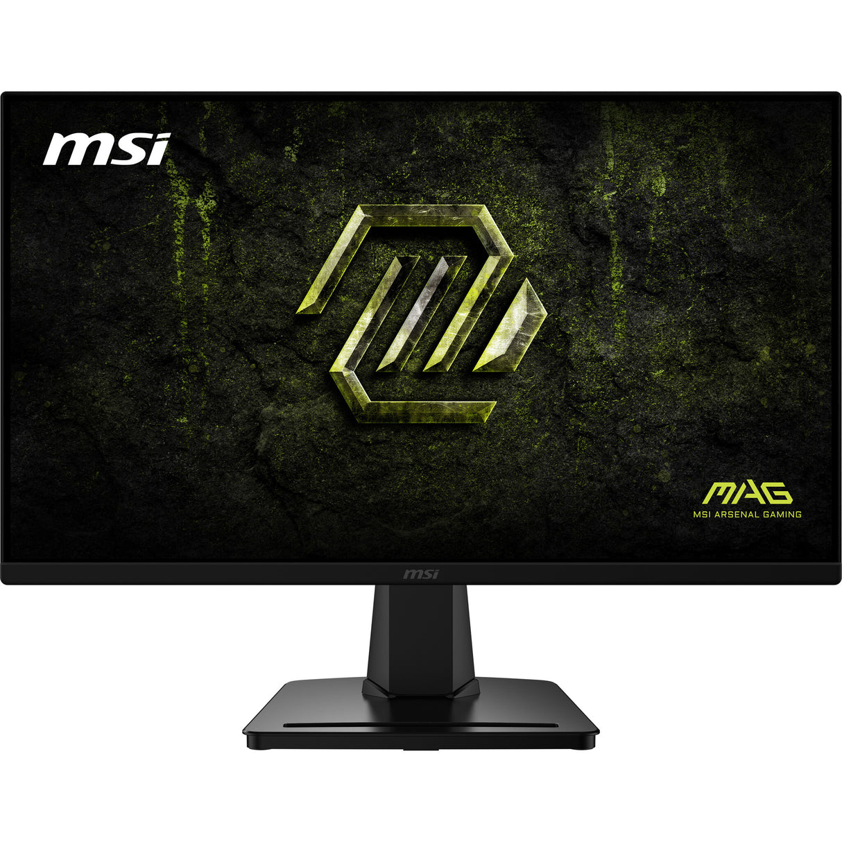 MSI MAG 256F E20 computerskærm 62,2 cm (24.5") 1920 x 1080 pixel Fuld HD LCD Sort