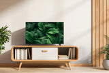 TCL 32S5L QLED Android TV