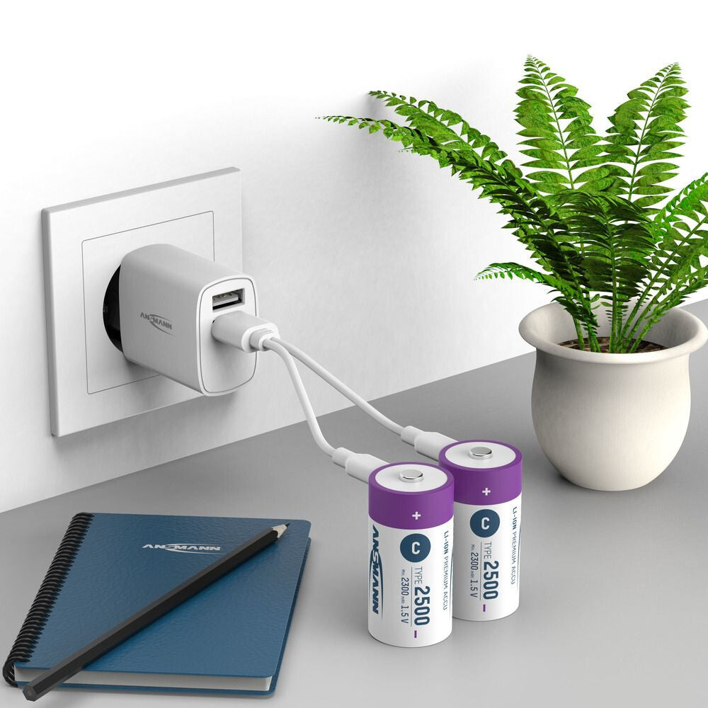 Ansmann 1313-0004 husholdningsbatteri Genopladeligt batteri C Lithium-Ion (Li-Ion)