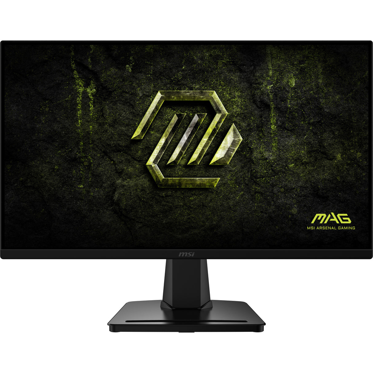 MSI MAG 256F E20 computerskærm 62,2 cm (24.5") 1920 x 1080 pixel Fuld HD LCD Sort