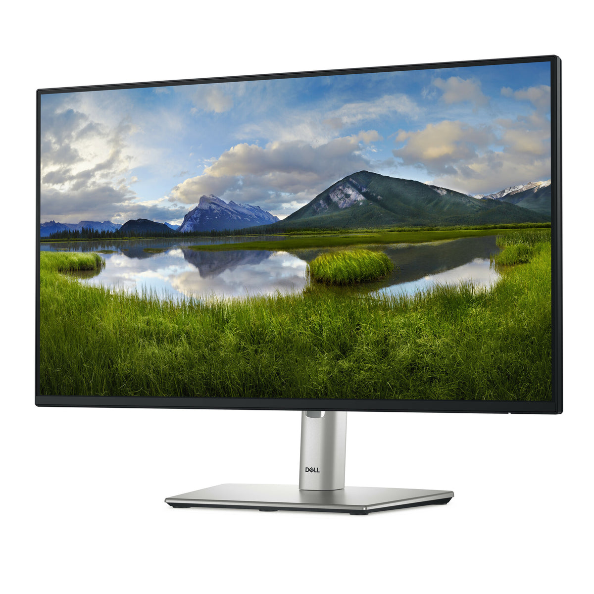 Dell P2425HE 24 IPS 1920 x 1080 (Full HD) HDMI DisplayPort USB-C 100Hz