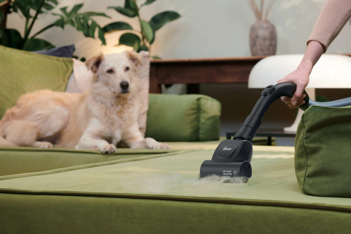 Hoover HE120PET 011 2,5 L Beholder vakuum Dry 700 W Støvpose
