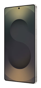 Samsung Galaxy S25 Ultra 17,5 cm (6.9") Dual SIM Android 15 5G USB Type-C 12 GB 256 GB 5000 mAh Sort, Titanium