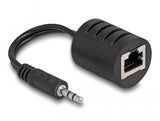 Delock Lyd adapter Sort