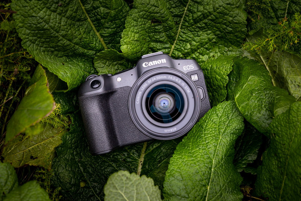 Canon EOS R8 MILC 24,2 MP CMOS 6000 x 4000 pixel Sort