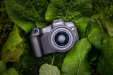 Canon EOS R8 MILC 24,2 MP CMOS 6000 x 4000 pixel Sort