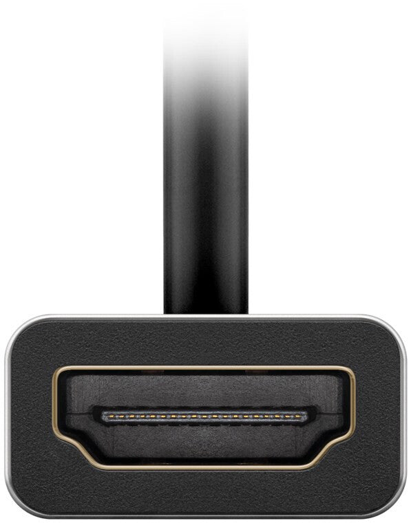 Goobay USB-C til HDMI Ekstern videoadapter 4K 120 Hz