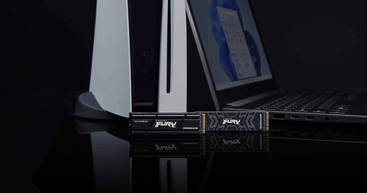 Kingston Technology 2000G RENEGADE PCIe 4.0 NVMe SSD M/HEATSINK