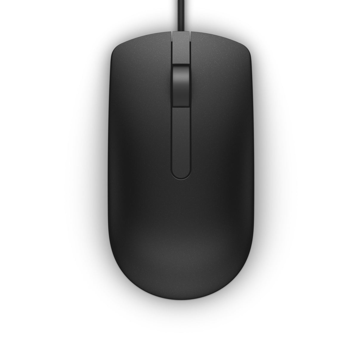 DELL MS116 mus Kontor Ambidextrous USB Type-A Optisk 1000 dpi
