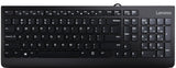 Lenovo 300 tastatur Universel USB QWERTY US engelsk Sort