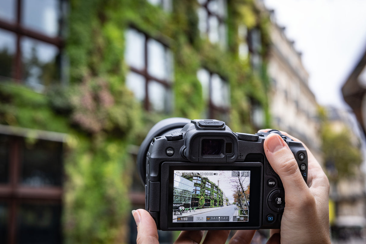 Canon EOS R8 MILC 24,2 MP CMOS 6000 x 4000 pixel Sort