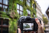 Canon EOS R8 MILC 24,2 MP CMOS 6000 x 4000 pixel Sort