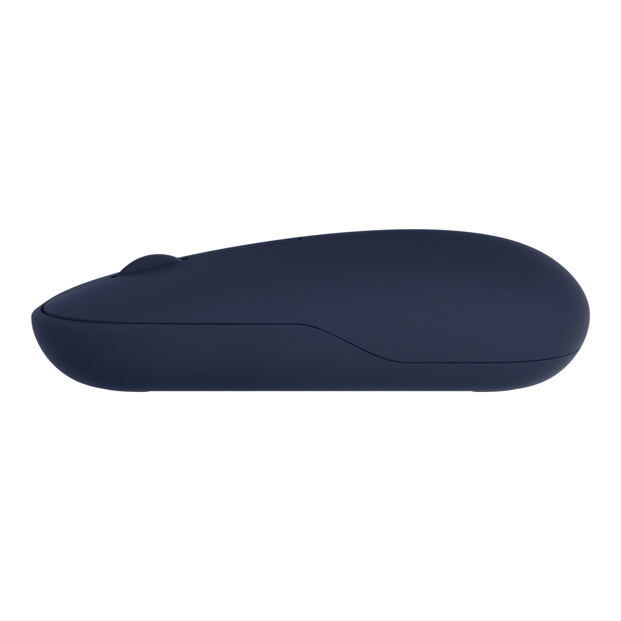 ASUS Marshmallow MD100 mus Kontor Ambidextrous RF trådløs + Bluetooth Optisk 1600 dpi