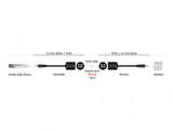 Delock Lyd adapter Sort