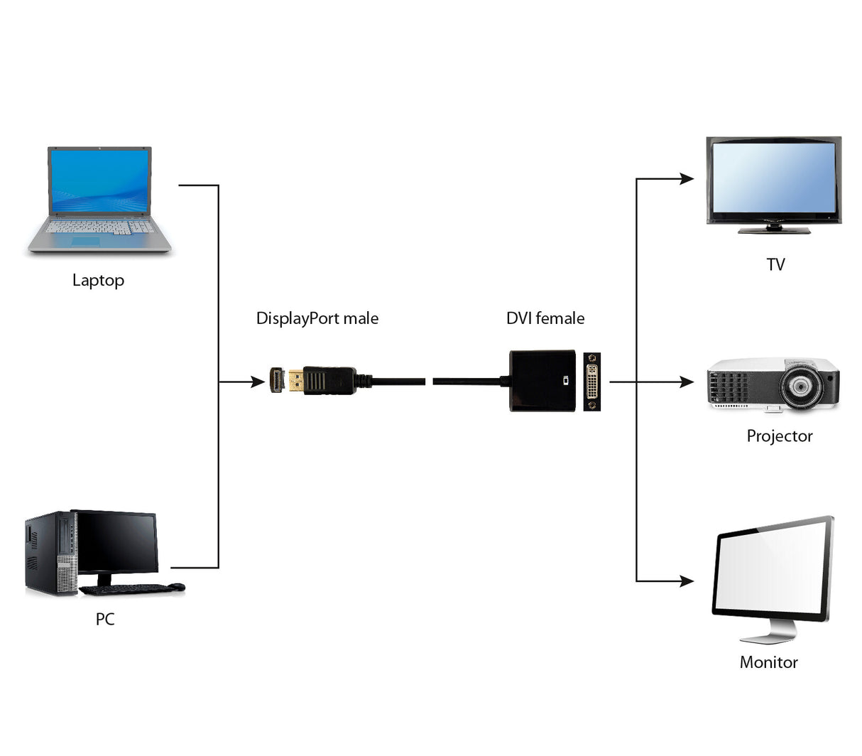 Gembird A-DPM-DVIF-002 videokabel adapter 0,1 m DisplayPort DVI Sort