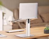 Gembird NBS-D1-02 laptop stativ Sølv 39,6 cm (15.6")