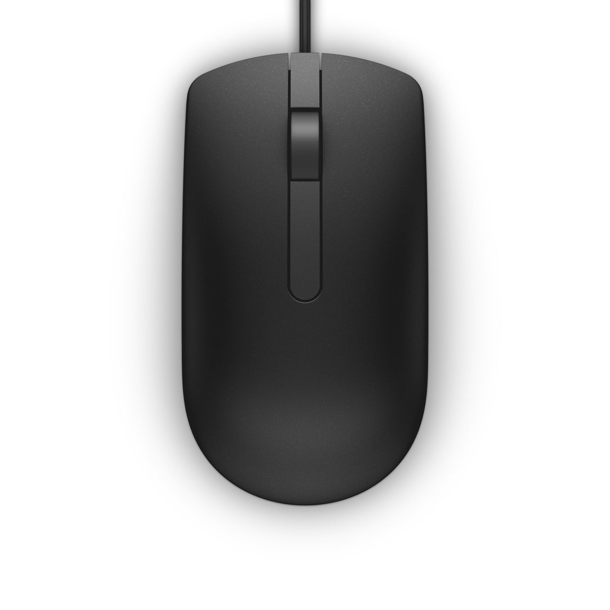 DELL MS116 mus Kontor Ambidextrous USB Type-A Optisk 1000 dpi