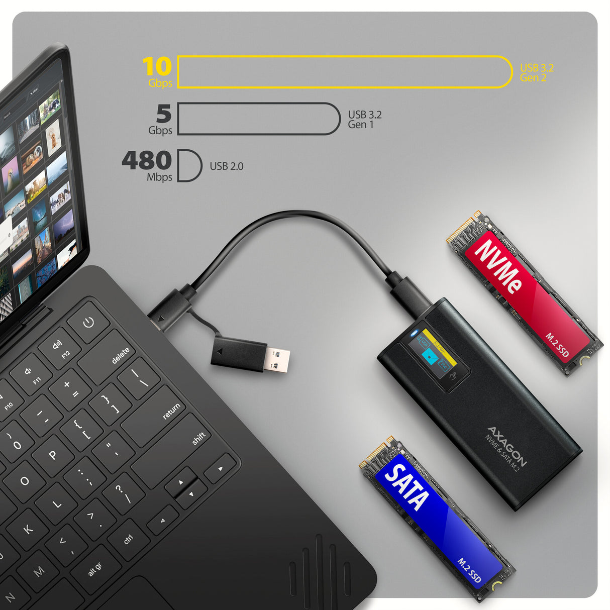 Axagon EEM2-SD2B drevkabinet SSD kabinet Sort M.2