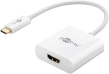 goobay Ekstern videoadapter