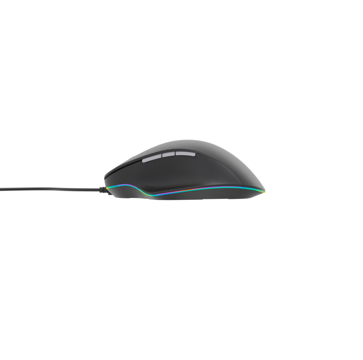 Gembird -6B-02 mus Kontor Højre hånd USB Type-A Optisk 3600 dpi