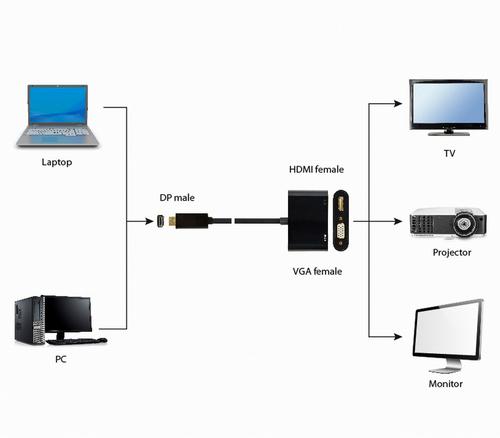 Gembird A-DPM-HDMIFVGAF-01 DisplayPort cable 0.1 m Black