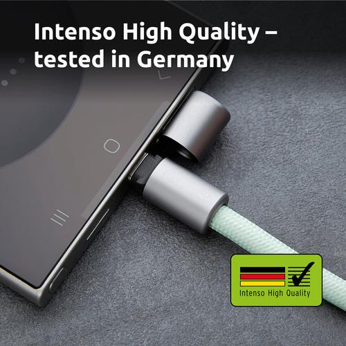 Intenso Handykette als Lade- + Datenkabel USB-C bis 1,65m grün USB-kabel USB C Grøn