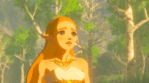 Nintendo The Legend of Zelda: Breath of the Wild, Switch Standard Nintendo Switch