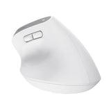 Trust Bayo+ mouse Office Right-hand RF Wireless + Bluetooth Optical 2400 DPI