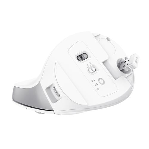 Trust Bayo+ mouse Office Right-hand RF Wireless + Bluetooth Optical 2400 DPI