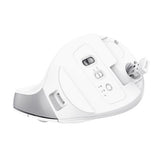 Trust Bayo+ mouse Office Right-hand RF Wireless + Bluetooth Optical 2400 DPI