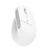 Trust Bayo+ mouse Office Right-hand RF Wireless + Bluetooth Optical 2400 DPI